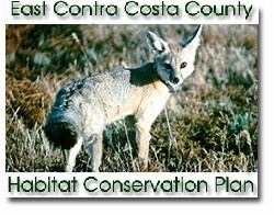 East Contra Costa County Habitat