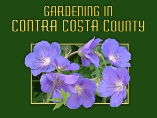 Gardening in Contra Costa County